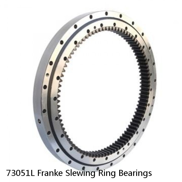 73051L Franke Slewing Ring Bearings