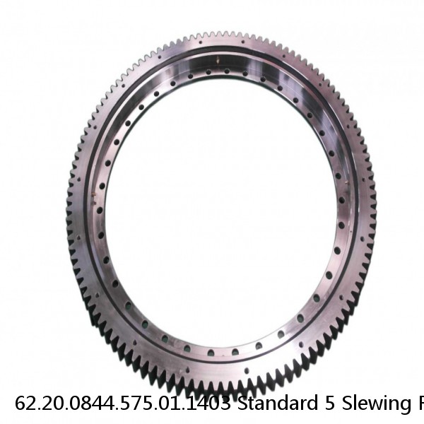 62.20.0844.575.01.1403 Standard 5 Slewing Ring Bearings