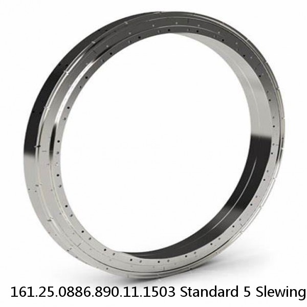 161.25.0886.890.11.1503 Standard 5 Slewing Ring Bearings