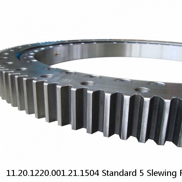 11.20.1220.001.21.1504 Standard 5 Slewing Ring Bearings