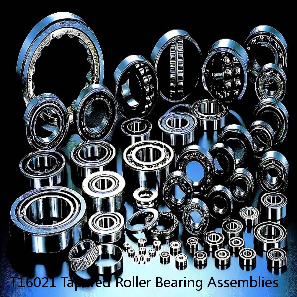 T16021 Tapered Roller Bearing Assemblies