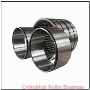 2.165 Inch | 55 Millimeter x 4.724 Inch | 120 Millimeter x 1.142 Inch | 29 Millimeter  ROLLWAY BEARING U-1311-J  Cylindrical Roller Bearings
